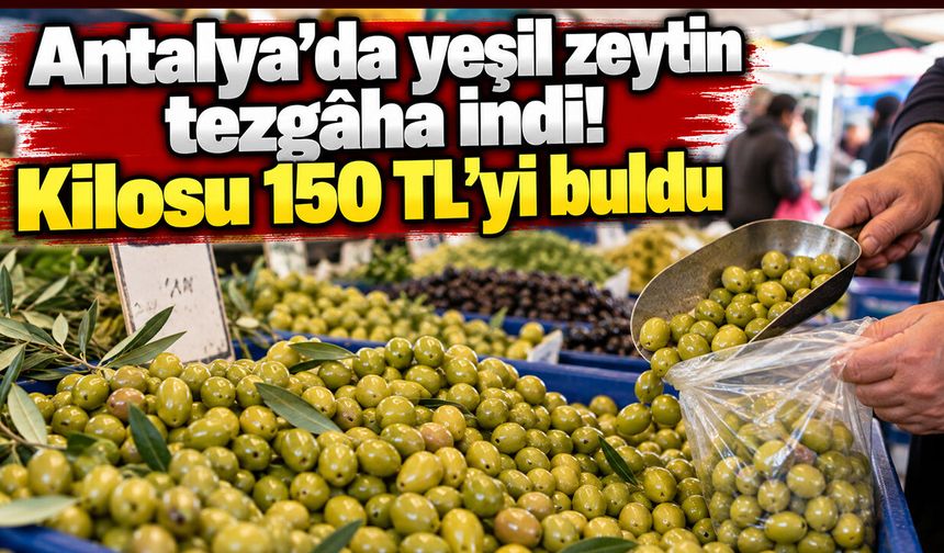 Antalya’da yeşil zeytin tezgâha indi! Kilosu 150 TL'yi buldu!