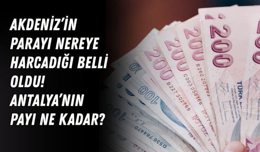 Akdeniz’in parayı nereye harcadığı belli oldu! Antalya’nın payı ne kadar?