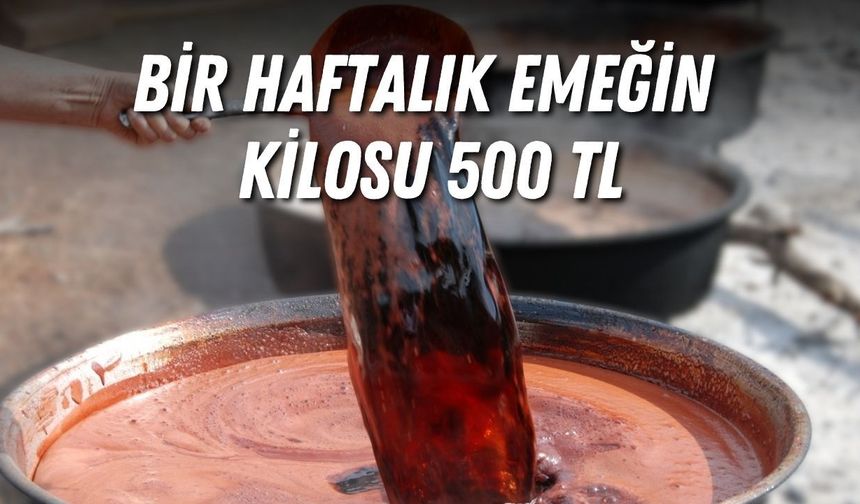 Antalya'da bir haftalık emeğin kilosu 500 TL