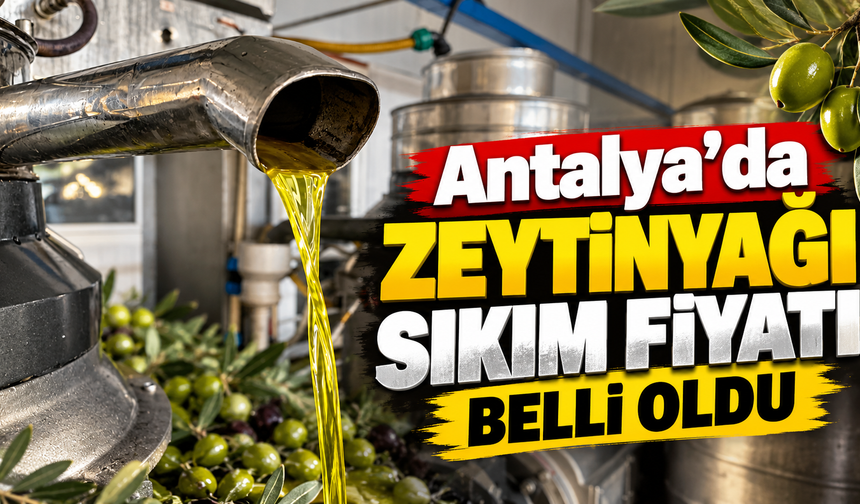 Antalya’da zeytinyağı sıkım fiyatı belli oldu