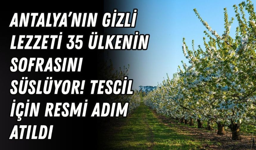 Antalya’nın gizli lezzeti 35 ülkenin sofrasını süslüyor!