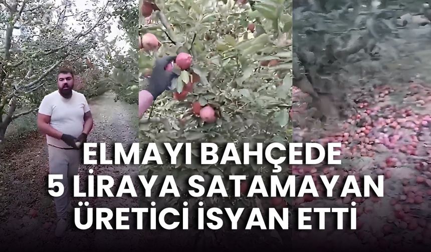 Elmayı bahçede 5 liraya satamayan üretici isyan etti: "Biz hangi zamanda yaşıyoruz"