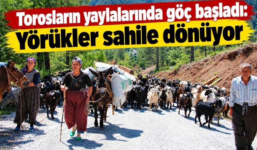 Torosların yaylalarında göç başladı: Yörükler sahile dönüyor
