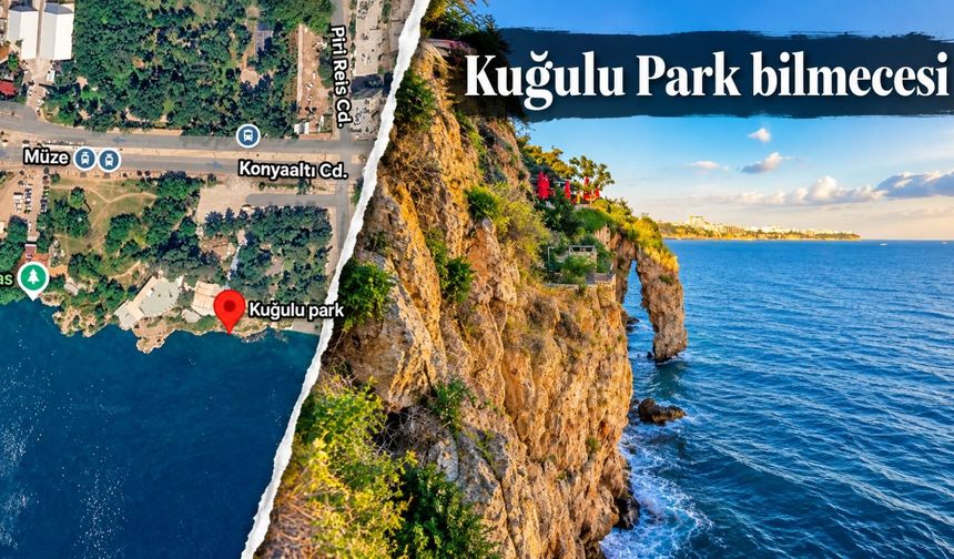 Kuğulu Park bilmecesi