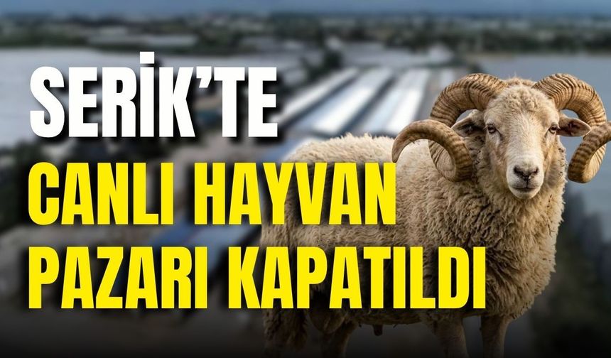 Serik’te canlı hayvan pazarı kapatıldı!